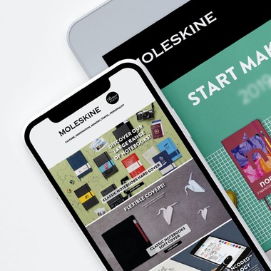 Bic-Moleskine-Typpex-Tnb-Skross-Plastidecor